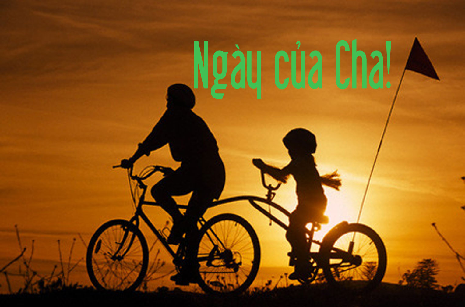 Ngày của Cha